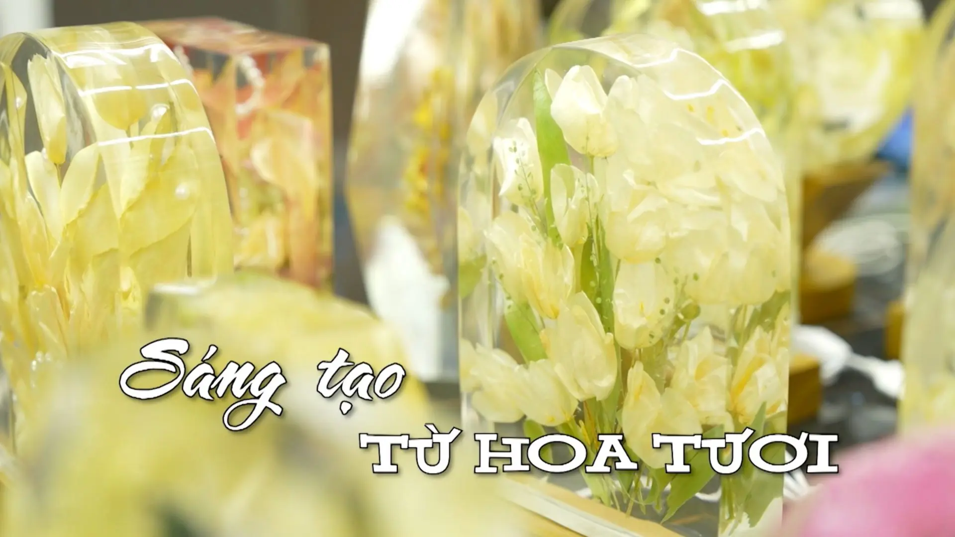 Sáng tạo từ hoa tươi | Nhịp sống Hà Nội | 20/12/2025